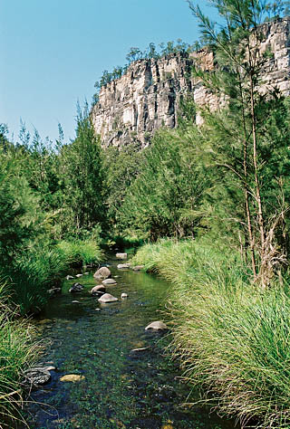 carnarvon gorge creek