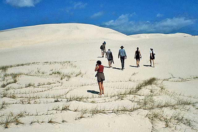 walking sand dunes